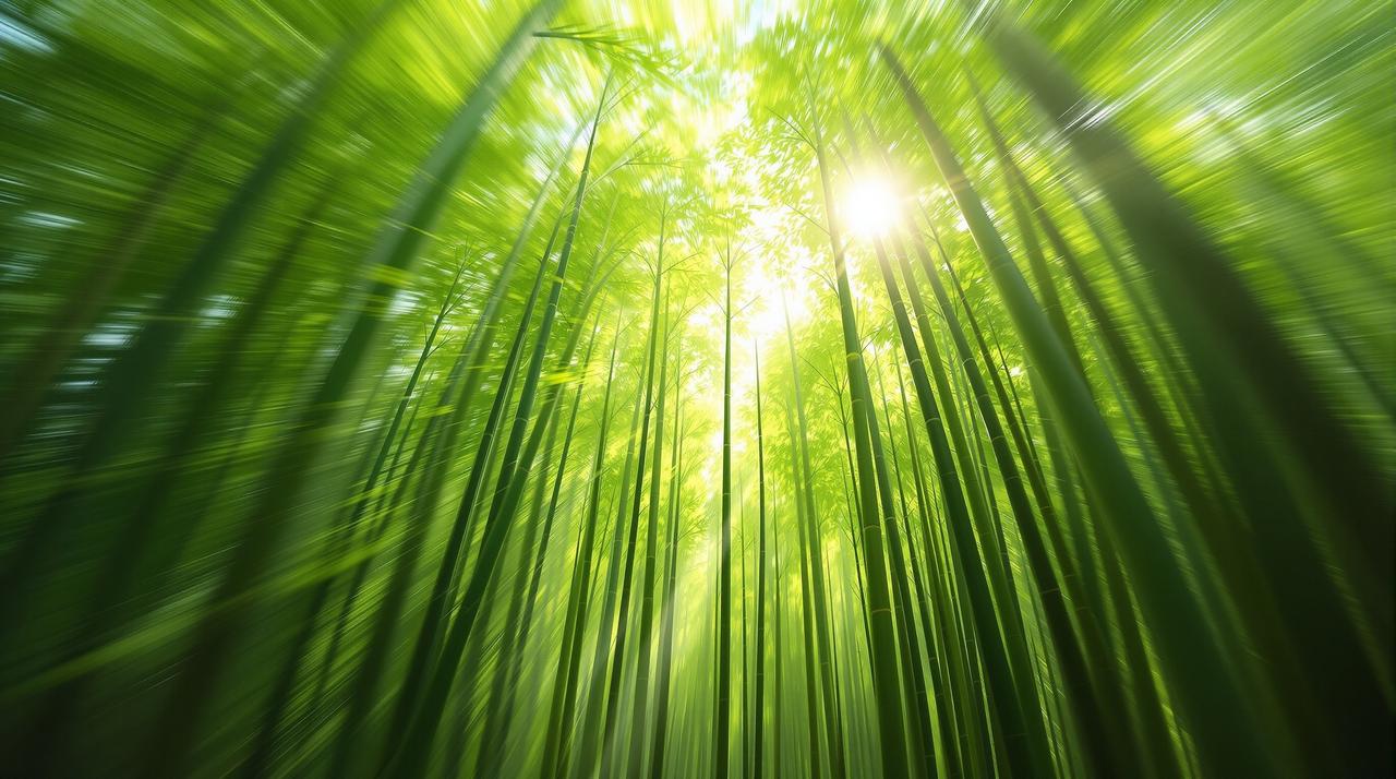 风过竹梢