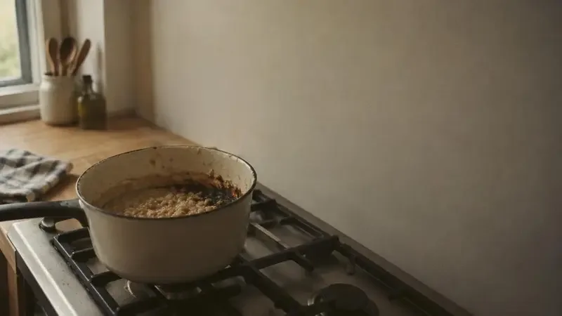 煮糊了一锅粥 视频封面